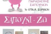 «Δημιουργία καινοτόμου μαθητικής επιχείρησης με βιολογικά προϊόντα» από το ΕΠΑΛ Σερβίων